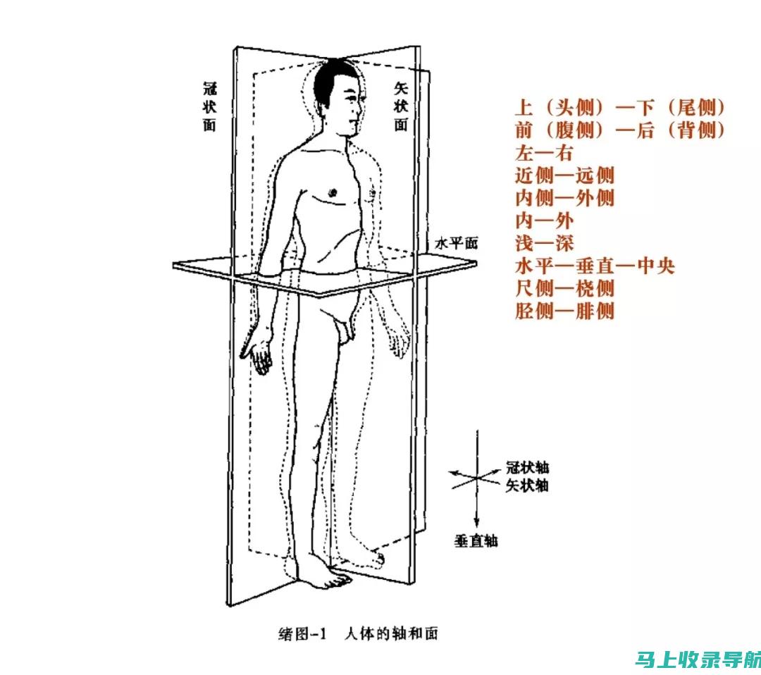 全方位解析：网站站长常用软件及其功能特点